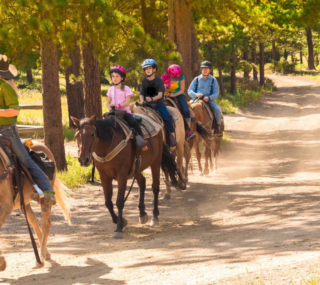 Family taking a horseback riding lesson in the woods in the summer