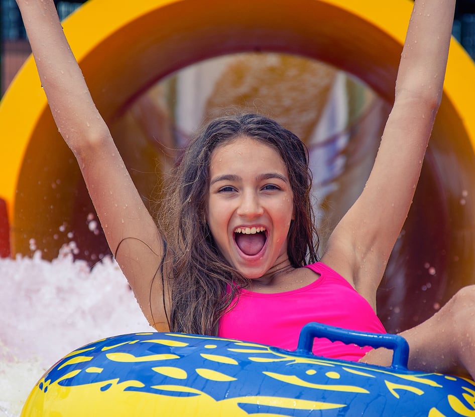 attractions Image